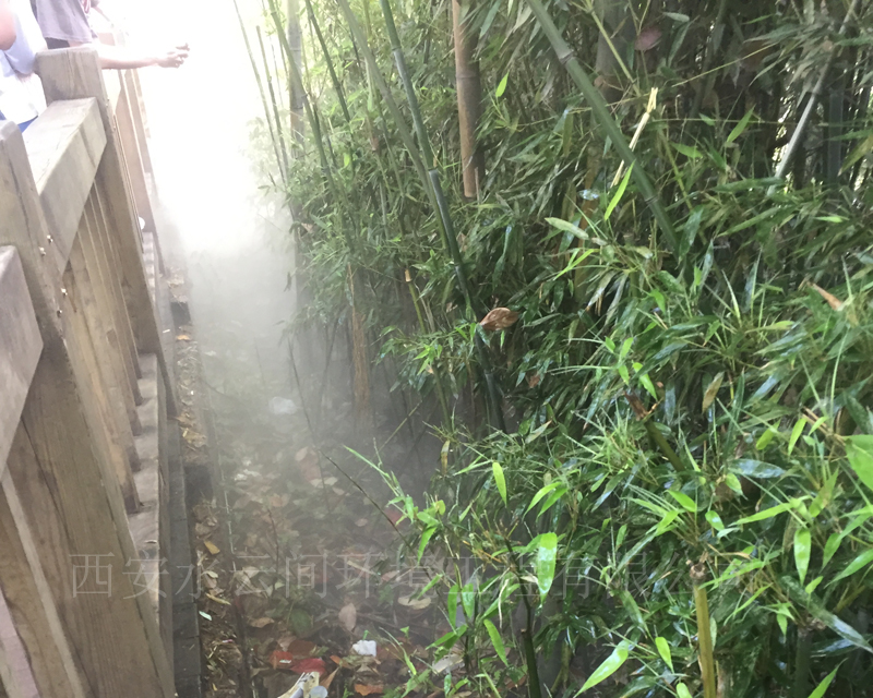 动物园竹林景观造雾