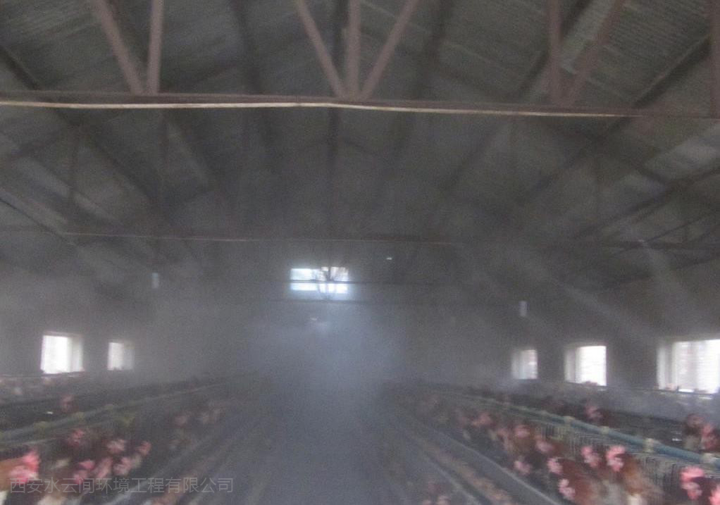  喷雾降温系统在鸡舍降温方面的应用
