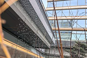 渭南 合阳玫瑰园重力水帘